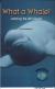 What a Whale! Learning the WH Sound