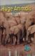 Huge Animals Learning the Long U Sound