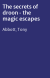 The secrets of droon - the magic escapes