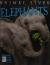 Animal Lives: Elephants