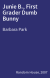 Junie B., First Grader Dumb Bunny