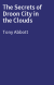 The Secrets of Droon City in the Clouds