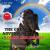 The Great Adventures of Dally and Spanky The True Story of a Rescued Miniature Horse and a Jack Russell Puppy