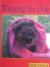 Washing the Dog