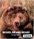 Houghton Mifflin Reading Guided Reading Grade 2 Bears Bears Bears
