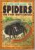 Spiders and Other Creepy-Crawlies