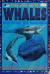 Whales and Other Sea Mammals A Question and Answer Book