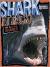 Shark Attack Top 10 Attack Sharks