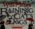 Raining Cats & Dogs