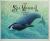 The Sea Mammal Alphabet Book