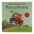 Usborne Phonics Readers Ted and Friends