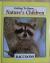 Raccoons
