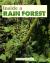 Inside a Rain Forest