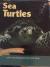 Sea Turtles
