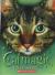 Catmagic