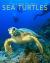 Sea Turtles Amazing Pictures & Fun Facts on Animals in Nature