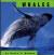 Whales