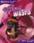 Bees and Wasps, Animal Lives, Books Are Fun Edition