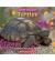 Turtles