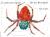 The Very Busy Spider/La araña muy ocupada (Bilingual English-Spanish Edition)