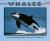 Whales