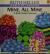 Mine, All Mine! A Book About Pronouns
