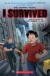 I Survived the Attacks of September 11th, 2001 Graphic Novel