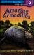 Amazing Armadillos