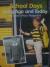 Houghton Mifflin Social Studies
