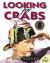 Looking for Crabs