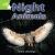 Rigby Star Independent Year 1 Green Non Fiction Night Animals Single
