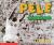 Pele The King of Soccer