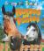 Horses and Ponies