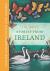 Stories from Ireland