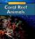 Coral Reef Animals