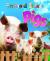Pigs