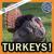 Turkeys!