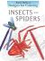 Insects and Spiders
