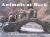 Animals at Work/SSN/Q