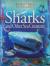 Sharks and Other Sea Creatures