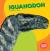 Iguanodon