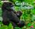 Gorillas and Their Infants A 4d Book