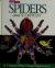 A Look Inside Spiders and Scorpions