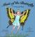 Music of the Butterfly A Story of Hope