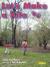 Let's Make a Kite