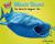 Whale Shark The World's Biggest Fish