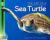 The Life of a Sea Turtle