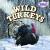 Wild Turkeys
