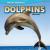 Dolphins