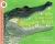 American Alligators (LET'S-READ-AND-FIND-OUT SCIENCE BOOKS)